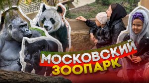 Московский зоопарк. Moscow Zoo. Куда сходить с семьей в Москве. Стоимость билетов и территория