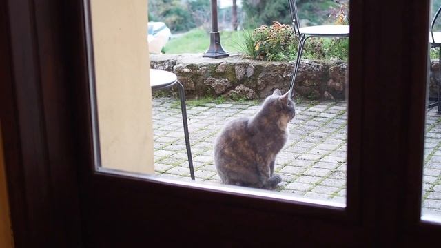 Зимний отдых в Греции - стоит ли ехать, что делать | Горы в Греции смотреть онлайн