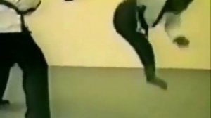 Обезьяна каратист