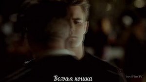 AU × Стефан и Клаус {+Элайджа} • Были времена
