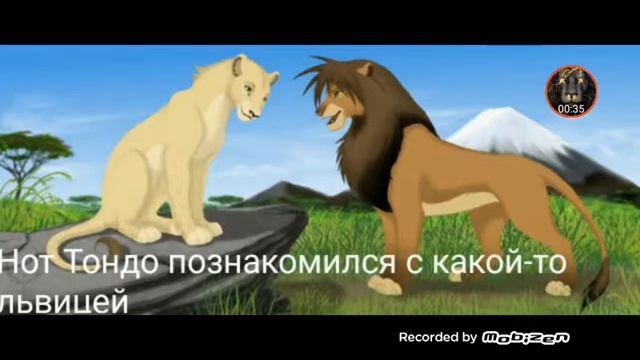 Король лев. История Ахади