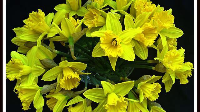 Самая новая русская новинка для автомобиля онлайн смотреть онлайн