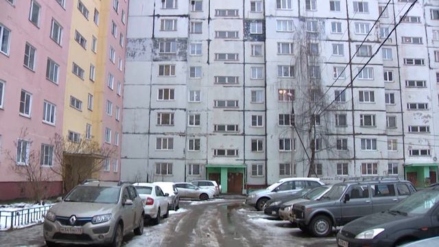 На жительницу Ярославля на улице напала собака бойцовской породы смотреть онлайн