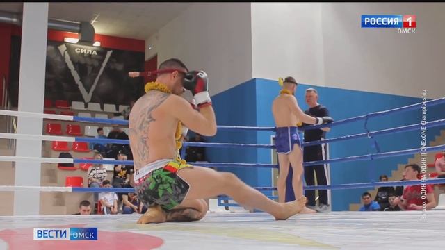 Турнир федерации традиционного муай тай России в Омске собрал около ста участников смотреть онлайн