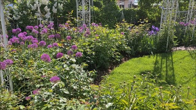 УЕДИНЁННЫЙ САД! Или как закрыться от высоких соседних домов. смотреть онлайн