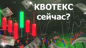 Как зарегистрироваться на КВОТЕКС сейчас?