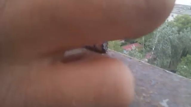 Ракета из спички и пищевой фольги сетка литит с 14 этожа смотреть онлайн