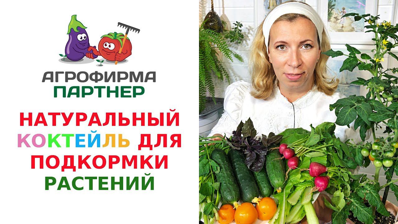 НАТУРАЛЬНЫЙ КОКТЕЙЛЬ ДЛЯ ПОДКОРМКИ РАСТЕНИЙ