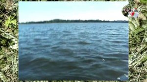 На Рыбалке в ЕЗЕРИЩЕ (Беларусь)