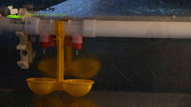 Брудер для цыплят. ТЗКО.РФ смотреть онлайн