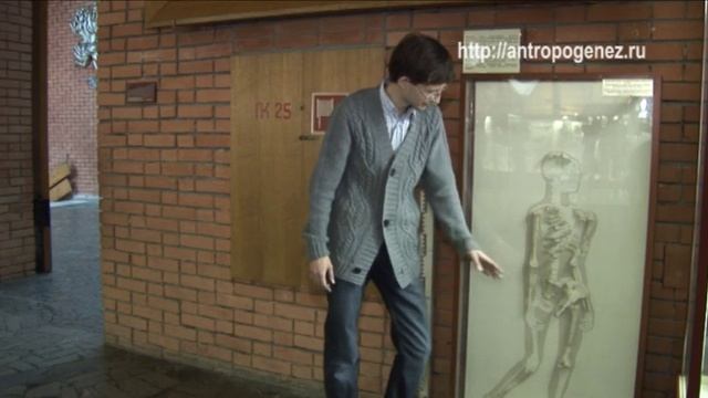 Станислав Дробышевский. Скелет австралопитека Люси. Достающее звено #15