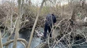 ПОМОЩЬ ПРИРОДЕ. Г.АРГУН, ЧЕЧЕНСКАЯ РЕСПУБЛИКА