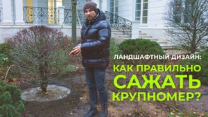 Посадка крупномеров: пошаговый алгоритм. Лекция 11 (часть 2).