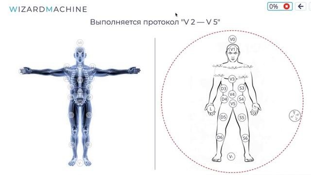 Визардмашина - учебное видео