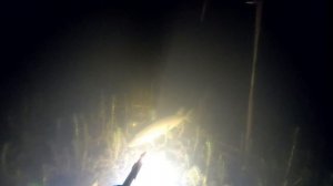 Подводная охота на Днепре Spearfishing GoPro 7 фонарь Днепр + Pelengas 55
