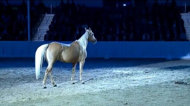 Дистанционная аппортировка. смотреть онлайн