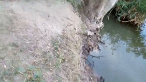 ловля раков в сентябре