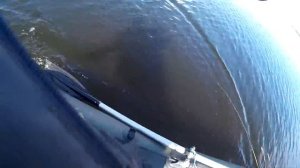 Mepps Aglia Long 2 VS Jackall Squad Minnow 80. Делают всю рыбалку.