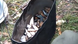 Поход по Таюре, июль-август 2010. Часть 4.1 - заимка