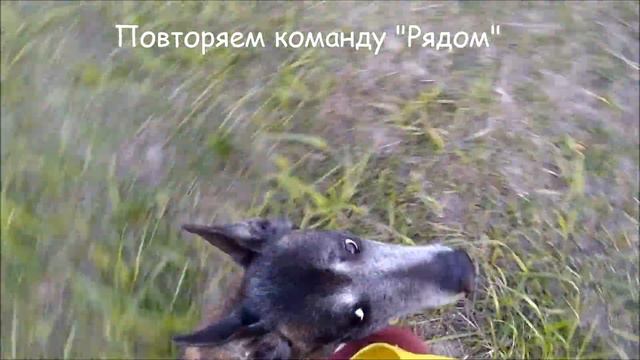 Инди тренировка апрель 2017 смотреть онлайн