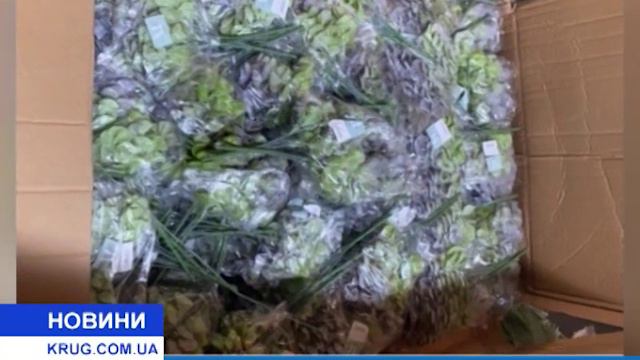 На Одесской таможне блокировали контрабанду на сумму более двух миллионов гривен смотреть онлайн