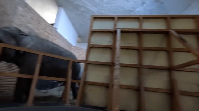 Цяла СЕДМИЦА столичани в повече и ДВОЕН Рожден ден