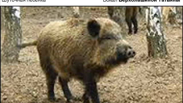 Нефедов песни Верхолашин 026 Праздник урожая у зверей в лесу