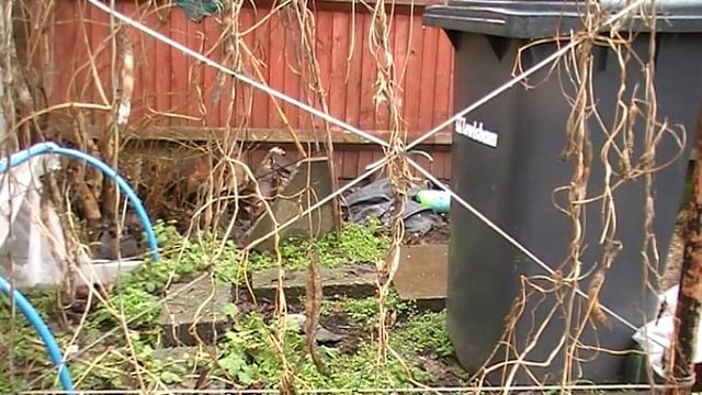 MY NEW HUSQVARNA 235 15'' CHAINSAW смотреть онлайн