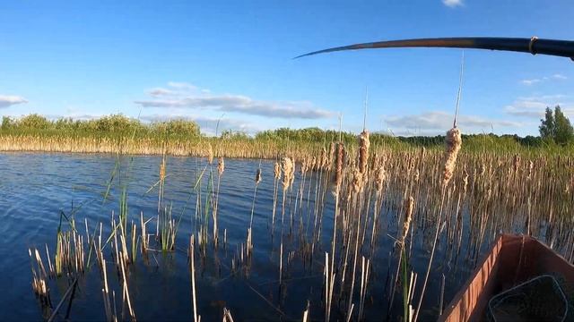 КАРПЫ РВУТ КРЮЧКИ!!! РЫБАЛКА НА ПОПЛАВОЧКУ С ЛОДКИ смотреть онлайн