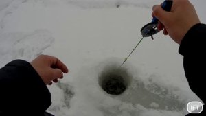 Зимняя рыбалка 2023/24. Ловля на безмотылку на реке Проня.