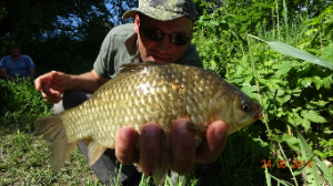 Ловля карася в мае на маховую удочку.