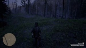 Red Dead Redemption 2 - Где найти пуму?