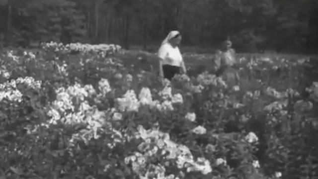На окраинах Столицы  //  Москвы  // 1953 г. #russia #moscow #ссср #москва #столицамосква