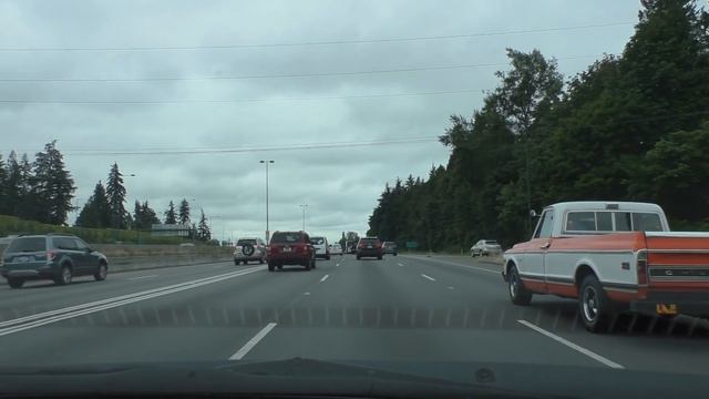 Про Наших Котят и Котобизнес в Америке в Общем, США 2018 смотреть онлайн