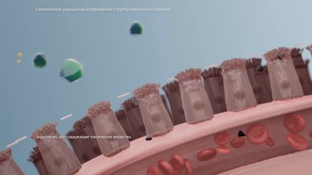 Экспортал смотреть онлайн