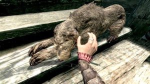 Petting Stump in Skyrim VR