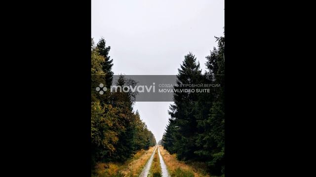 Природа Алтая!С музыкой для релакса, сна и отдыха!