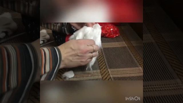 Новооодний  Гномик из носков смотреть онлайн