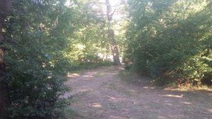Кемпинг Сосны, отдых дикарями на автомобиле