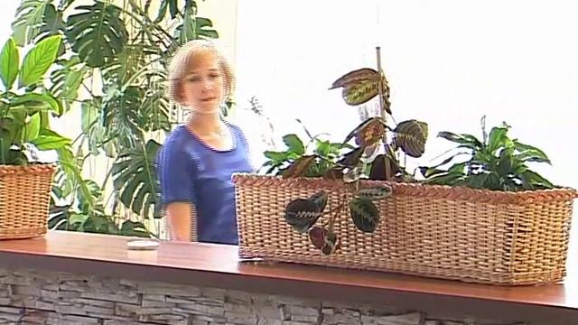 «Турмалин» обрёл вторую жизнь смотреть онлайн