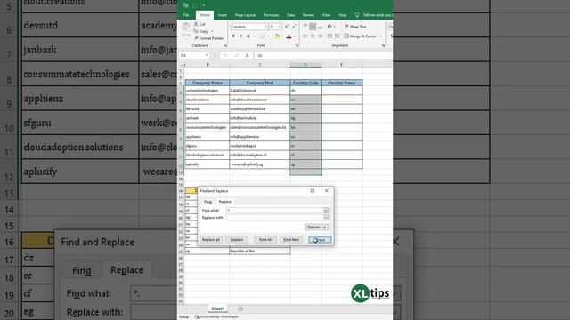 Optimizing Business Data with Excel's Smart Pattern-Based Find and Replace