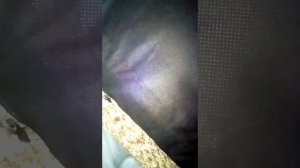 Ева показывает дырку Извините что я то видео не выпустила про новую дырку