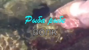 Отдыхаем...