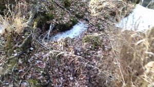 Рыбалка на Крупного ХАРИУСА в ТАЙГЕ. Конец Октября. По Сибирским Рекам