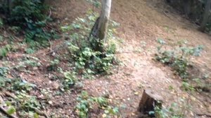 Поход - Полушкинские каменоломни