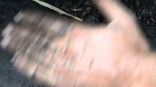 5 Часть. Подкормка червей навозом и укрытие соломой. Производство удобрения биогумус. смотреть онлайн