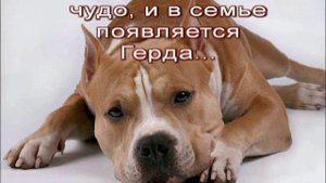 Э Веркин Герда