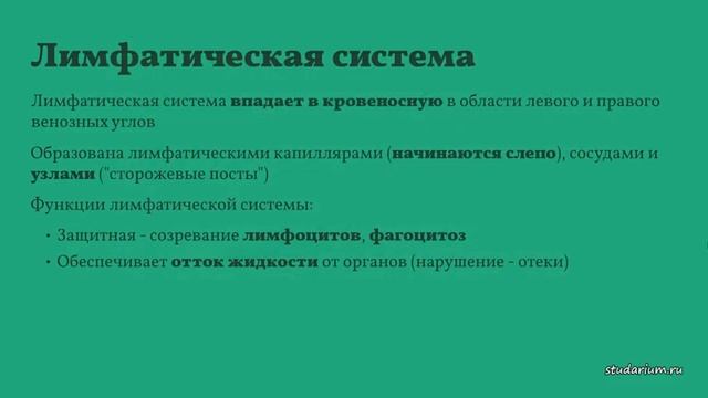 Кровь и лимфа. Эритроциты, лейкоциты, тромбоциты. Болезни. Лекция, разбор заданий от Юрия Беллевича