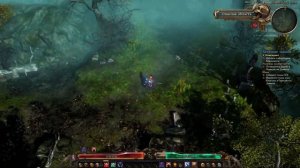 Grim Dawn. Шаман + Ночной клинок. Зимний король. Первобытный удар.