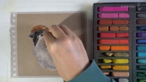 ?Как нарисовать воробушка сухой пастелью на крафт бумаге✨ Soft Pastels mungyo